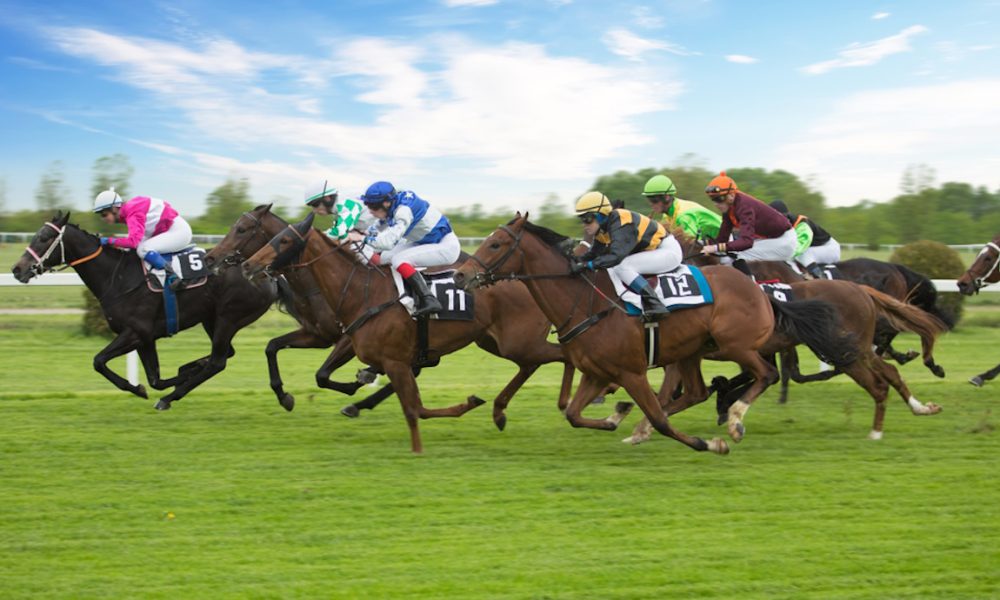 kt-group-is-the-betting-terminal-of-choice-for-the-kentucky-derby-and-wrigley-field-this-season