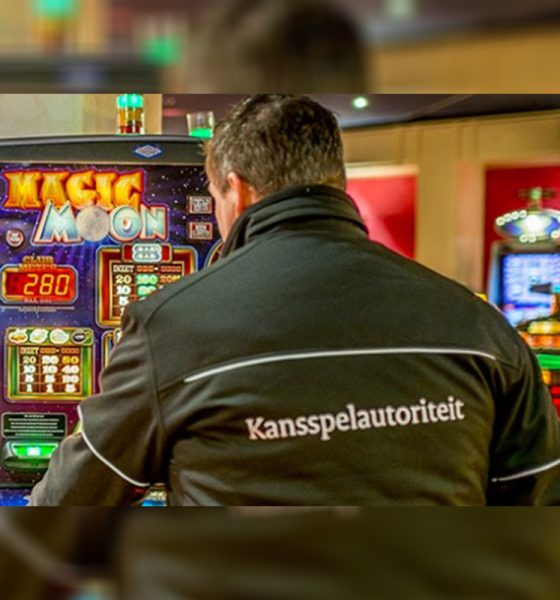 dutch-gaming-authority-once-again-supports-information-projects-on-gambling-risks