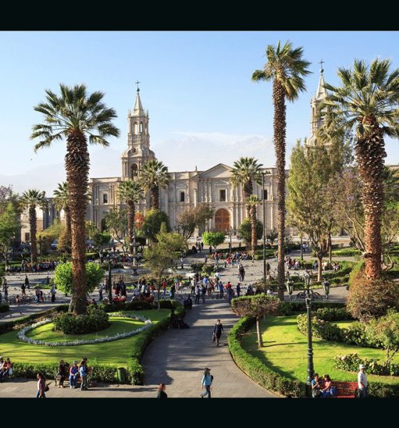 peru-reports-40%-drop-in-illegal-online-gambling
