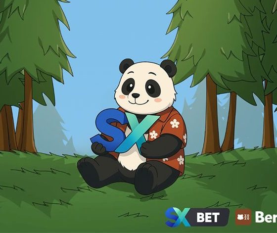 sx-bet-bets-big-on-berachain:-bringing-web3-sports-betting-to-bera