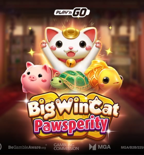 the-big-win-cat-returns-with-larger-than-life-fortune