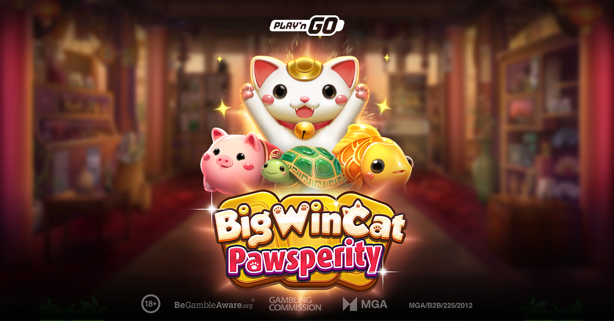 the-big-win-cat-returns-with-larger-than-life-fortune
