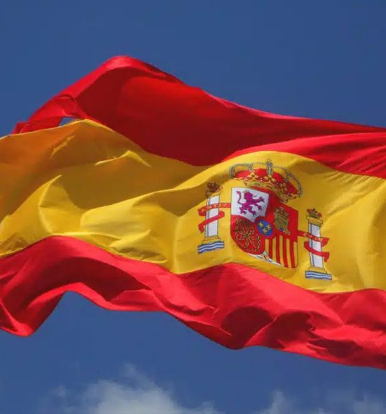 spain:-the-responsible-gaming-advisory-council-renews-its-composition