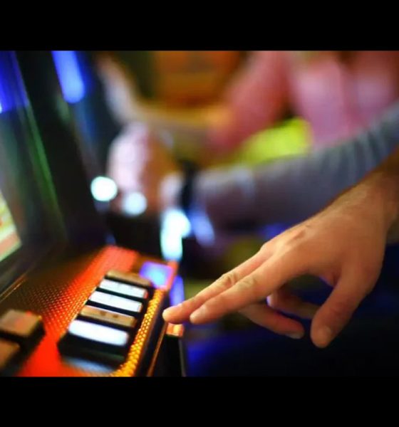 new-zealand-introduces-online-casino-gambling-bill