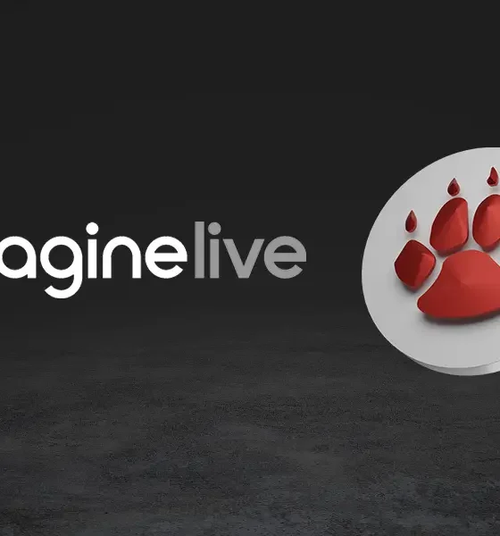 qtech-games-fine-tunes-its-live-casino-suite-with-imagine-live