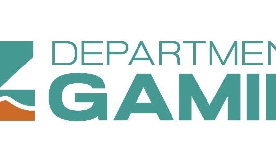 football-season-kicks-off:-arizona-department-of-gaming-warns-of-gambling-scams-and-highlights-consumer-protection-tools